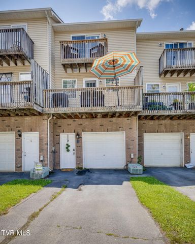 2305 South Greenwood Drive Unit 3, Johnson City, TN 37604