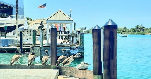 424 HATCHETT CREEK ROAD, Venice, FL 34285