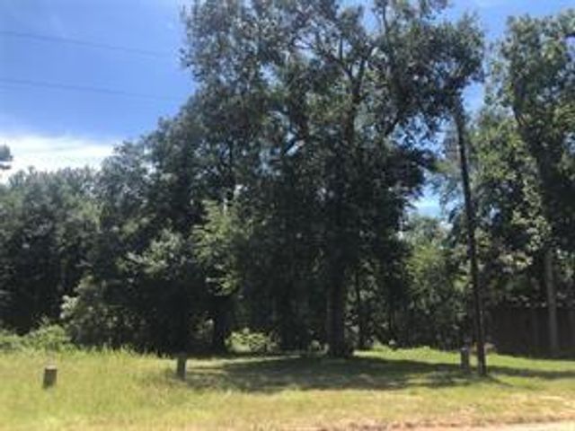 390 Story Drive, Livingston, TX 77351