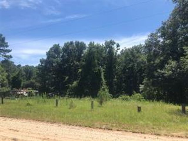 390 Story Drive, Livingston, TX 77351