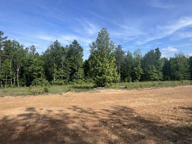 23 Pafford Lane, Erin, TN 37061