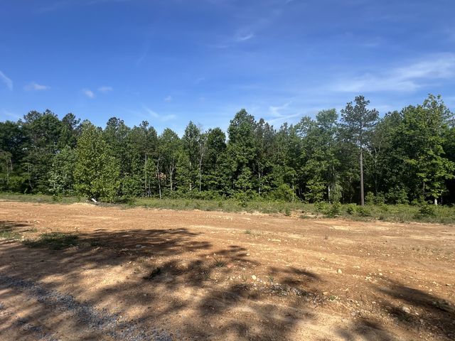 23 Pafford Lane, Erin, TN 37061