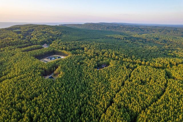 1194 Horseshoe Road, Signal Mountain, TN 37377