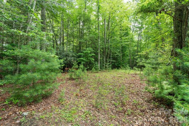 99999 Guntertown Road, Marshall, NC 28753