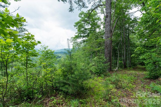 99999 Guntertown Road, Marshall, NC 28753