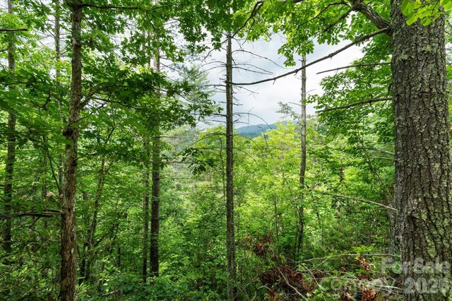 99999 Guntertown Road, Marshall, NC 28753