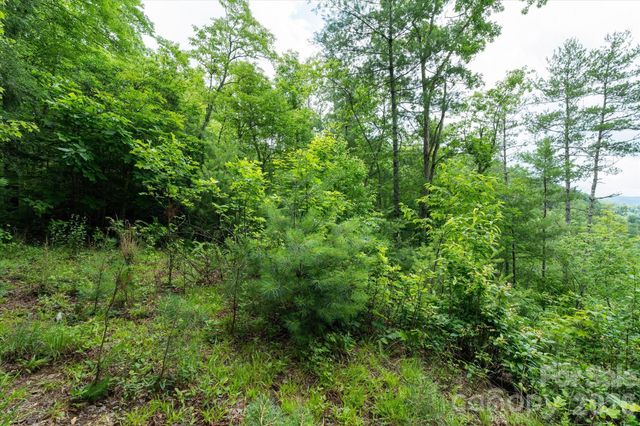 99999 Guntertown Road, Marshall, NC 28753