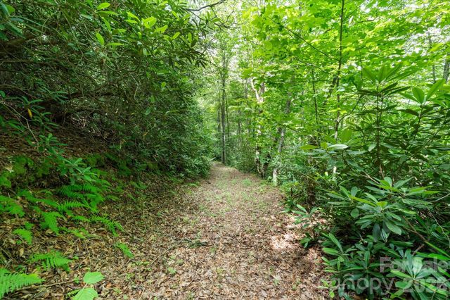 99999 Guntertown Road, Marshall, NC 28753