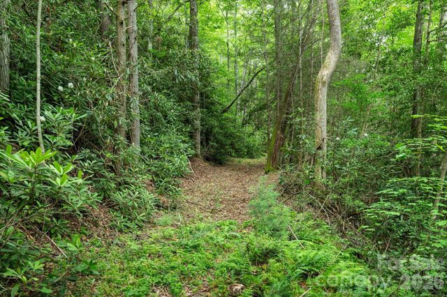 99999 Guntertown Road, Marshall, NC 28753