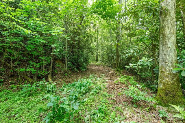 99999 Guntertown Road, Marshall, NC 28753