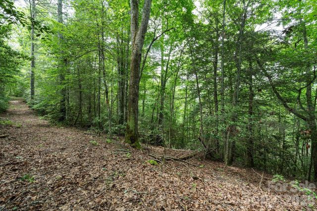 99999 Guntertown Road, Marshall, NC 28753