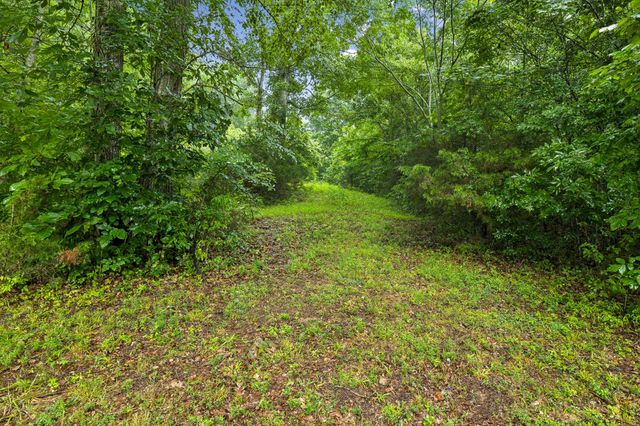 119 Dyer Branch Rd, Gordonsville, TN 38563