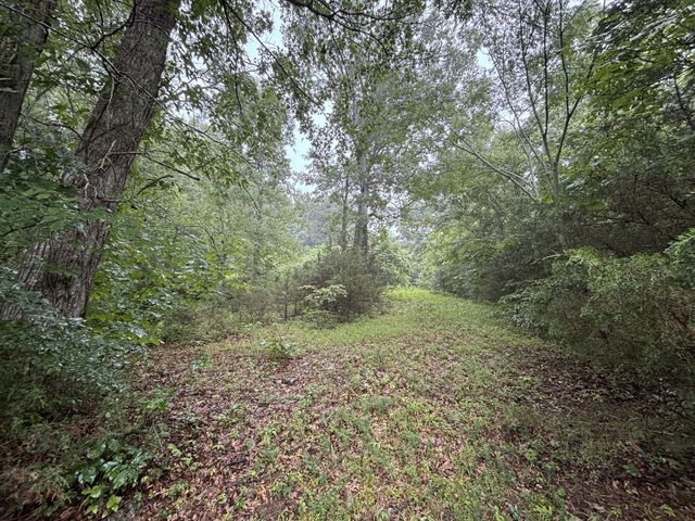 119 Dyer Branch Rd, Gordonsville, TN 38563