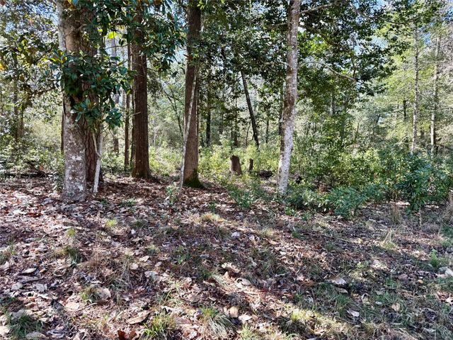 TBD Churton Road, Livingston, TX 77351