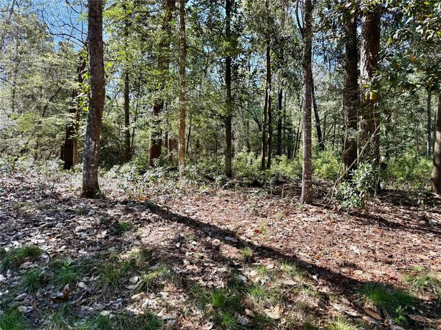 TBD Churton Road, Livingston, TX 77351