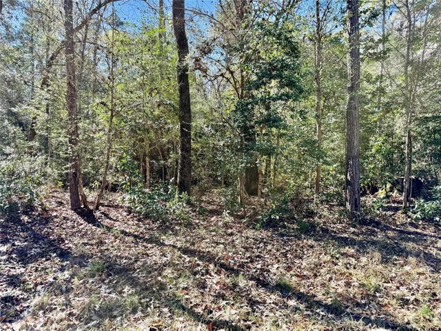 TBD Churton Road, Livingston, TX 77351