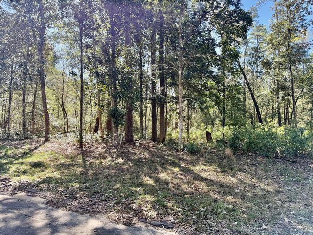 TBD Churton Road, Livingston, TX 77351