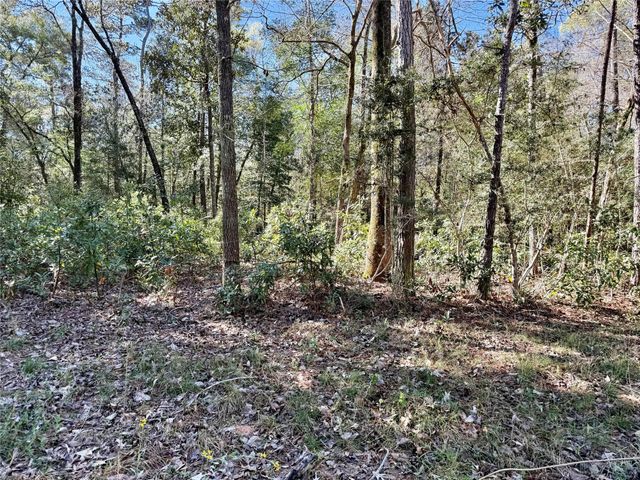 TBD Churton Road, Livingston, TX 77351