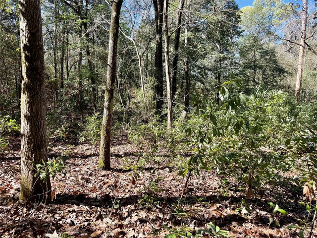 TBD Churton Road, Livingston, TX 77351