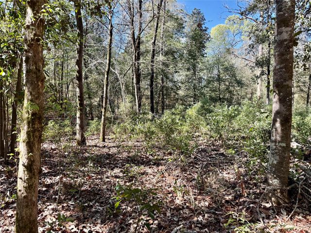 TBD Churton Road, Livingston, TX 77351