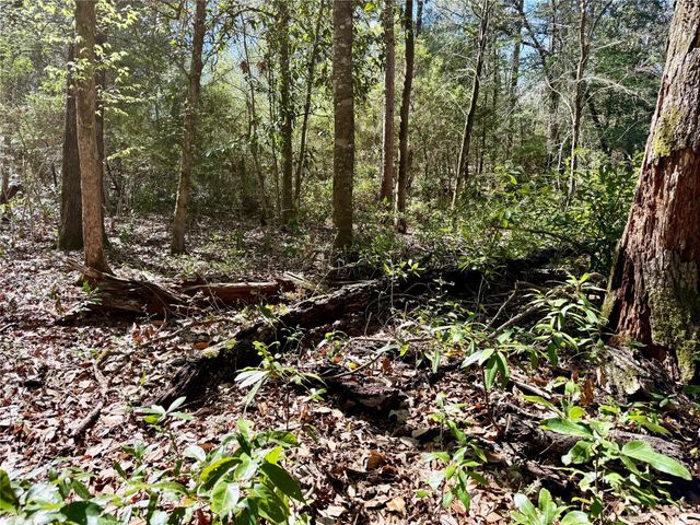 TBD Churton Road, Livingston, TX 77351