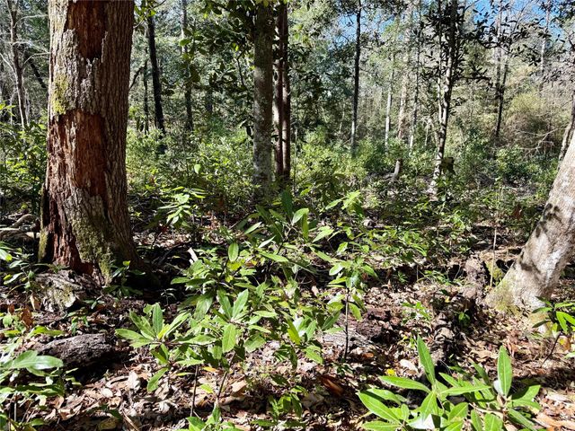 TBD Churton Road, Livingston, TX 77351