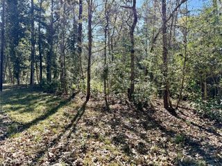 TBD Churton Road, Livingston, TX 77351