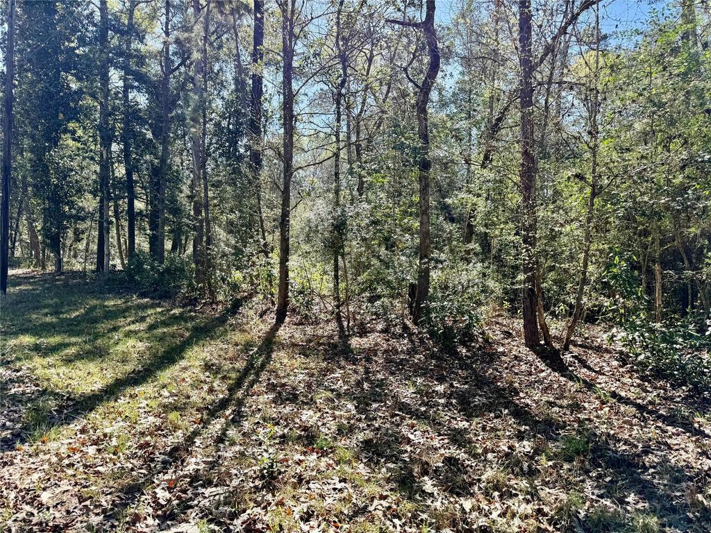 TBD Churton Road, Livingston, TX 77351