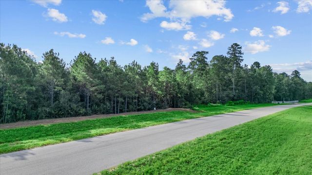 16230 Ridge Oak Road, Willis, TX 77378
