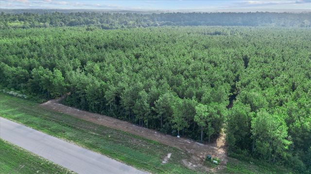 16230 Ridge Oak Road, Willis, TX 77378