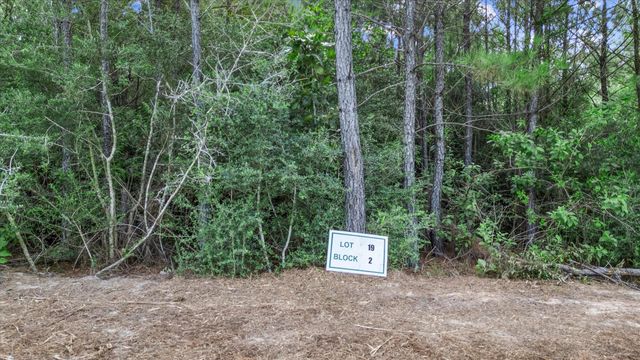 16230 Ridge Oak Road, Willis, TX 77378