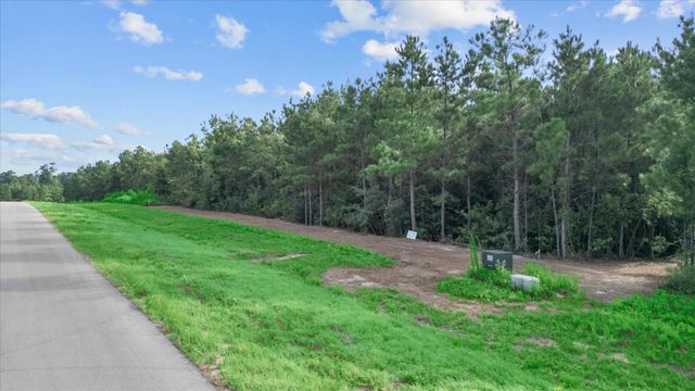 16230 Ridge Oak Road, Willis, TX 77378