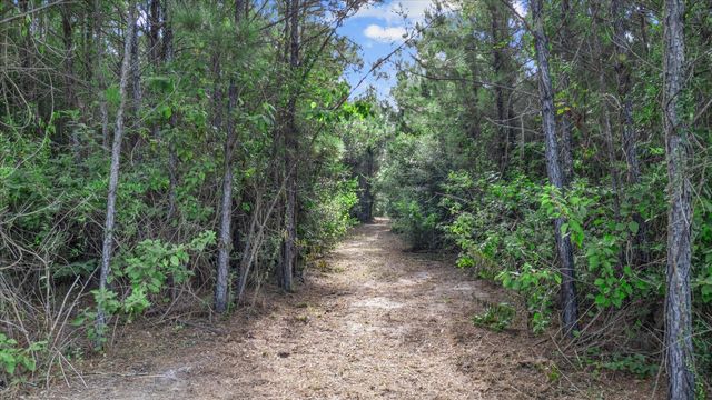 16230 Ridge Oak Road, Willis, TX 77378