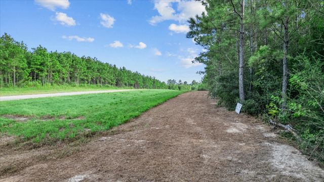 16230 Ridge Oak Road, Willis, TX 77378