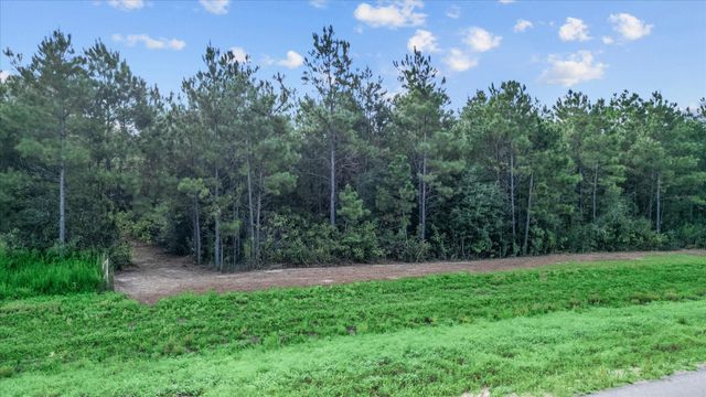 16230 Ridge Oak Road, Willis, TX 77378