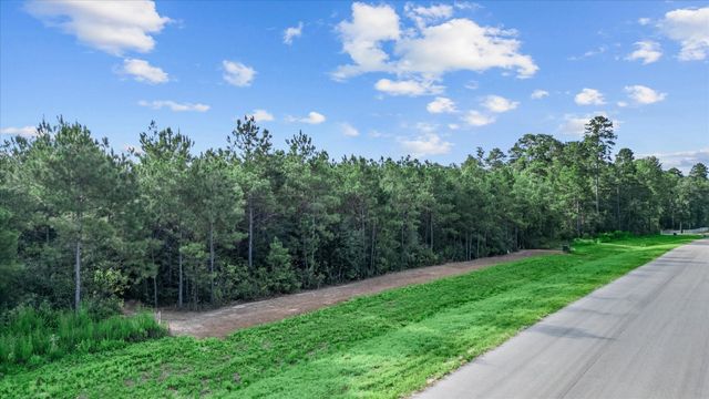 16230 Ridge Oak Road, Willis, TX 77378