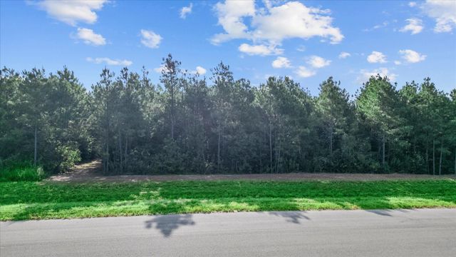 16230 Ridge Oak Road, Willis, TX 77378