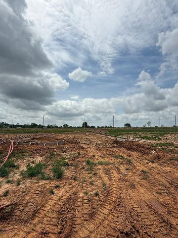 31111 Cass River Lane, Waller, TX 77484