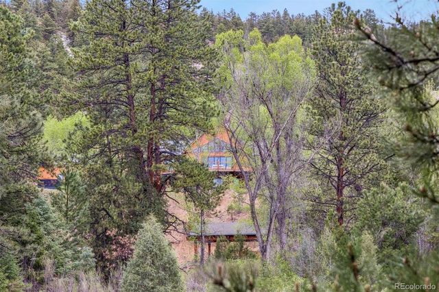 14669 S Foxton Road, Conifer, CO 80433