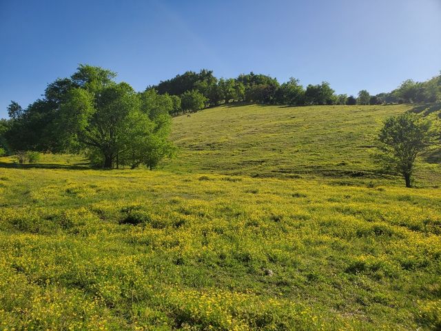 3544 Highway 231, S, Shelbyville, TN 37160