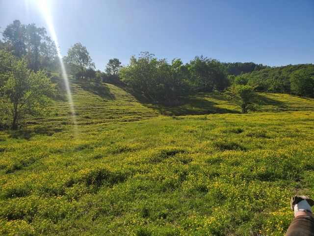 3544 Highway 231, S, Shelbyville, TN 37160