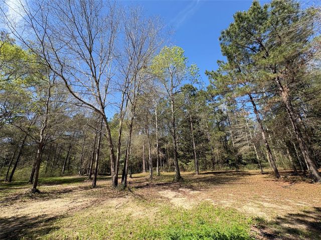 1300 Cherry Creek Drive, Shepherd, TX 77371