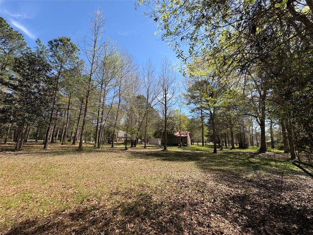 1300 Cherry Creek Drive, Shepherd, TX 77371