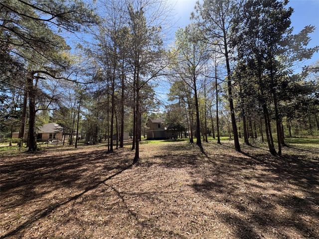 1300 Cherry Creek Drive, Shepherd, TX 77371