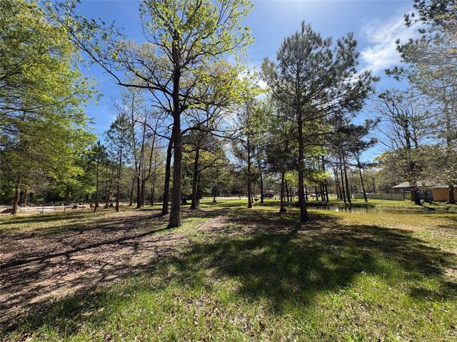 1300 Cherry Creek Drive, Shepherd, TX 77371