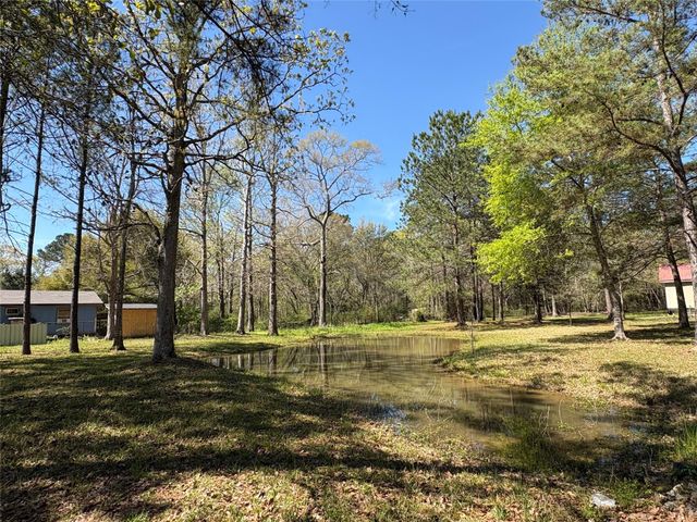 1300 Cherry Creek Drive, Shepherd, TX 77371