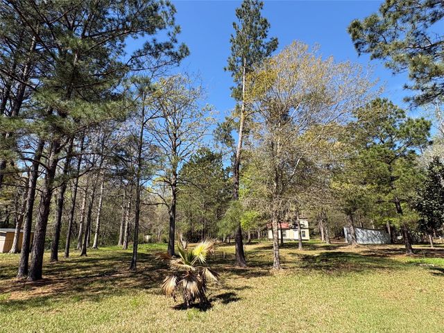 1300 Cherry Creek Drive, Shepherd, TX 77371