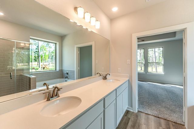 13336 Wichita Fall Trail Road, Conroe, TX 77303