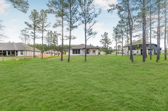 13336 Wichita Fall Trail Road, Conroe, TX 77303