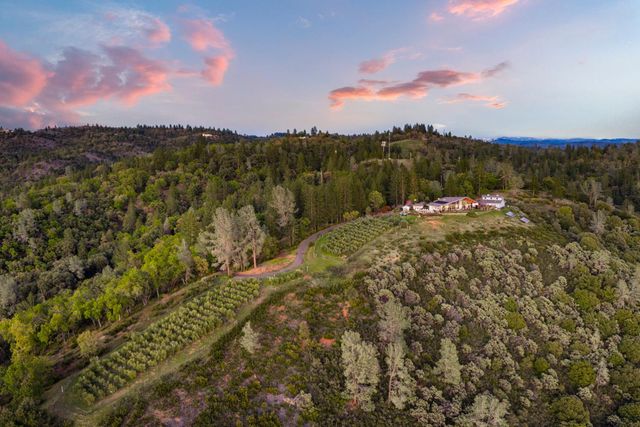 984 Crestview Dr, Murphys, CA 95247